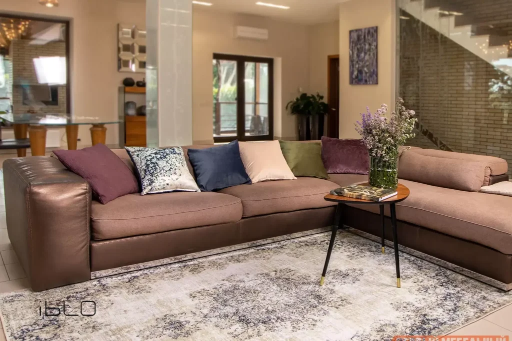 young-couples-comfy-sofa-buying-guide